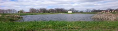 3608 Altreetz